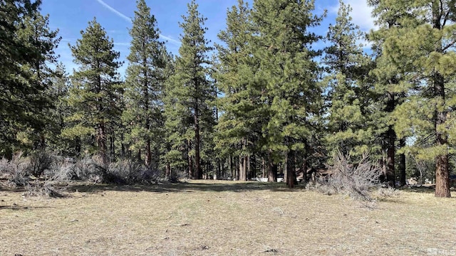 4300 Meadow Wood, Carson City, NV 89703 - photo 1