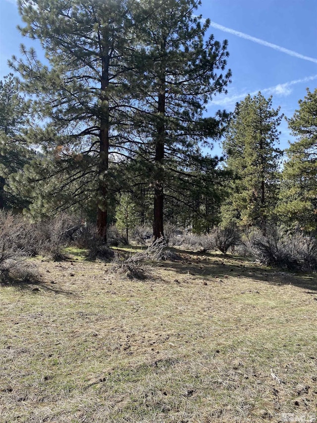 4300 Meadow Wood, Carson City, NV 89703 - photo 2