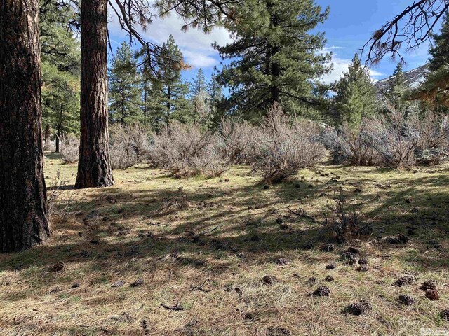 4300 Meadow Wood, Carson City, NV 89703 - photo 3