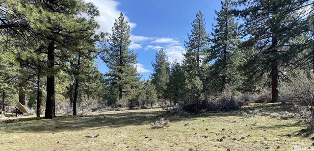 4300 Meadow Wood, Carson City, NV 89703 - photo 4