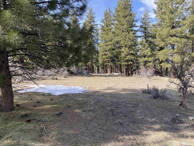 4300 Meadow Wood, Carson City, NV 89703 - photo 5