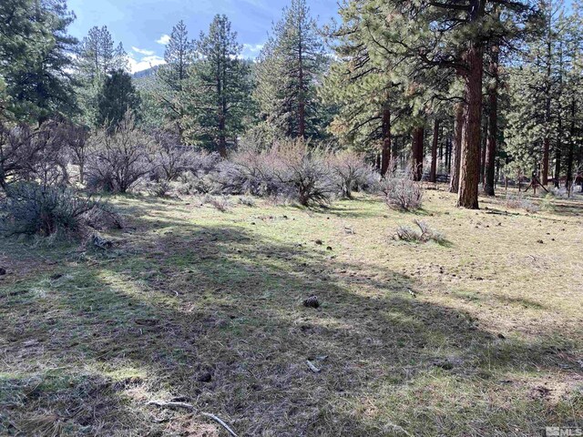 4300 Meadow Wood, Carson City, NV 89703 - photo 6