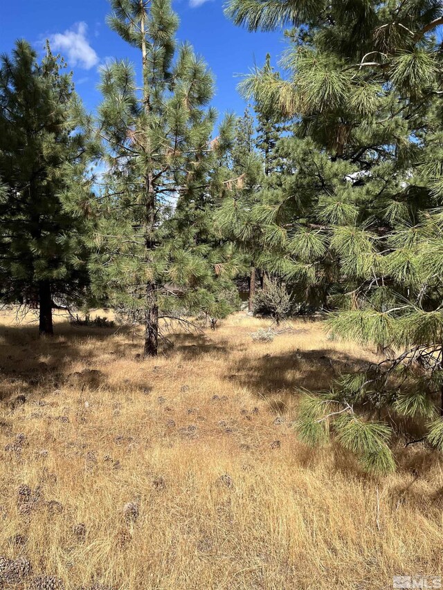 4300 Meadow Wood, Carson City, NV 89703 - photo 7
