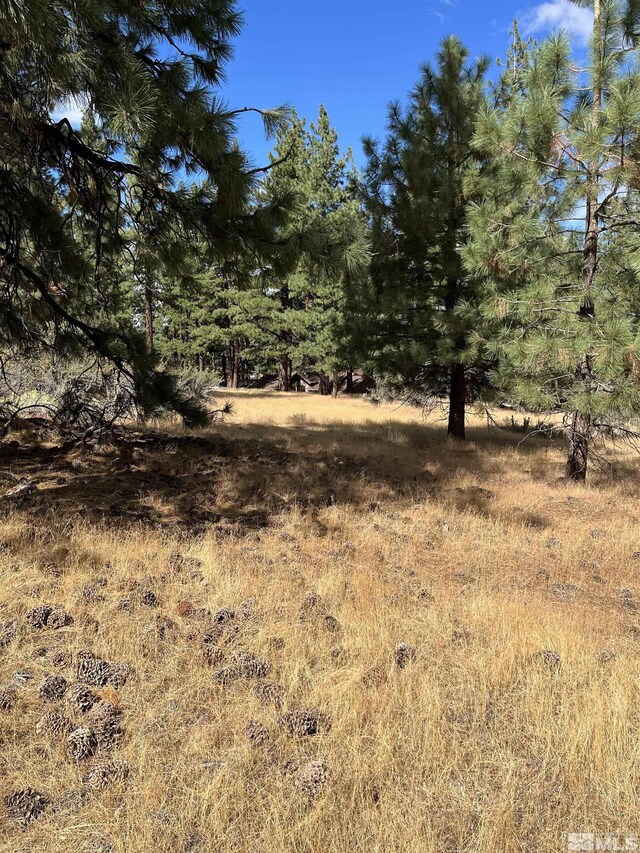 4300 Meadow Wood, Carson City, NV 89703 - photo 8