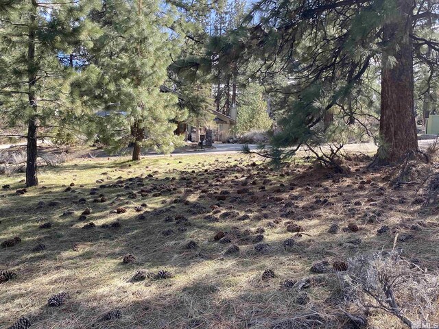 4300 Meadow Wood, Carson City, NV 89703 - photo 9