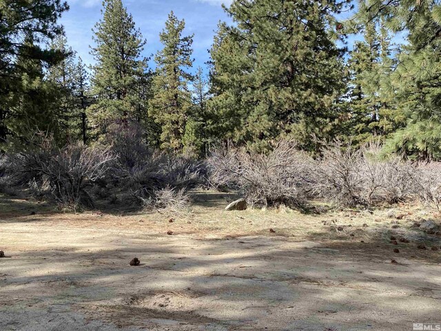 4300 Meadow Wood, Carson City, NV 89703 - photo 10
