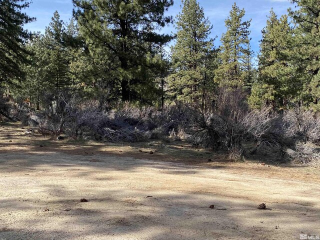 4300 Meadow Wood, Carson City, NV 89703 - photo 11