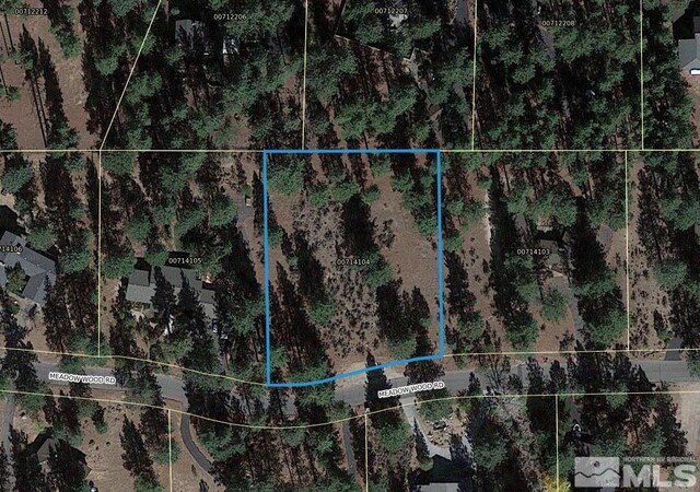 4300 Meadow Wood, Carson City, NV 89703 - photo 12