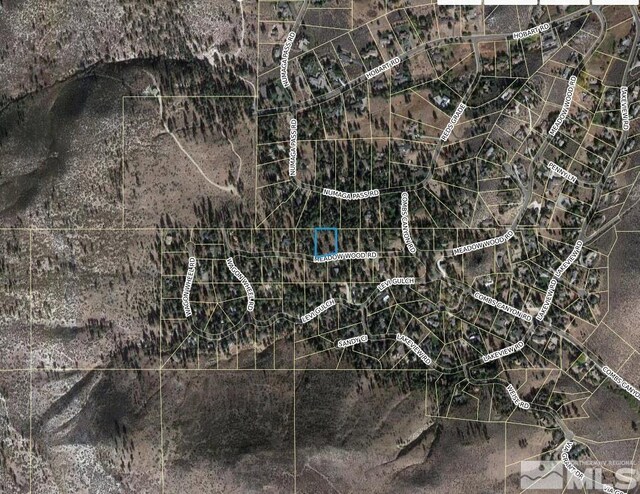 4300 Meadow Wood, Carson City, NV 89703 - photo 13