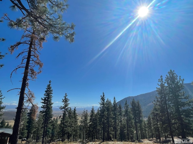 262 Swifts Station Dr, Carson City, NV 89705