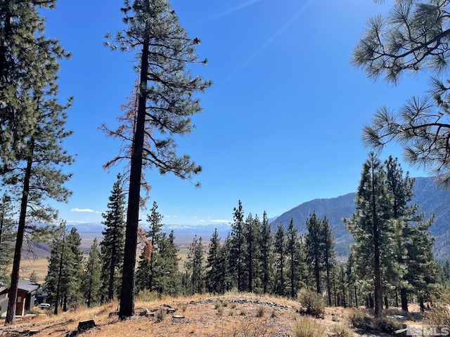 262 Swifts Station Dr, Carson City, NV 89705