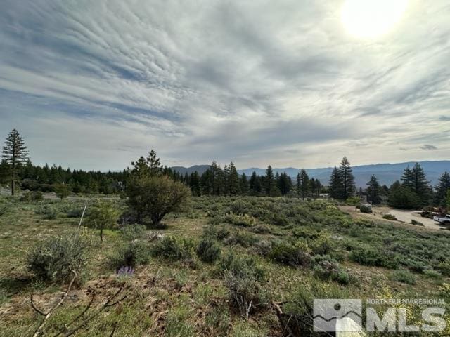 400 Mount Mahogany Ct, Reno, NV 89511 - photo 3