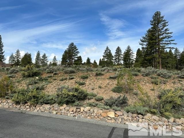 400 Mount Mahogany Ct, Reno, NV 89511 - photo 4