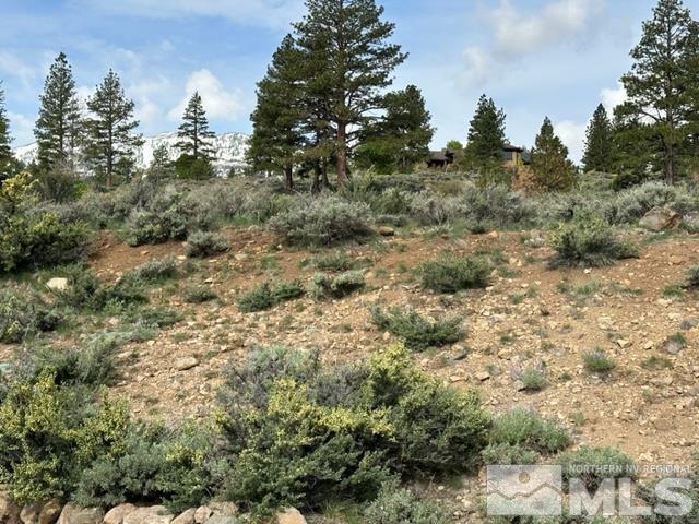 400 Mount Mahogany Ct, Reno, NV 89511 - photo 7