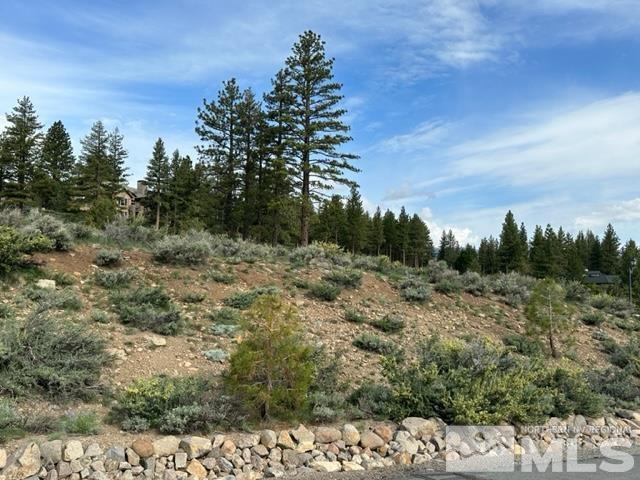 400 Mount Mahogany Ct, Reno, NV 89511 - photo 8