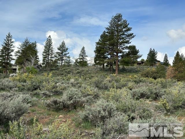 400 Mount Mahogany Ct, Reno, NV 89511 - photo 12