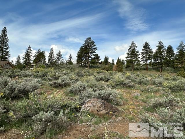 400 Mount Mahogany Ct, Reno, NV 89511 - photo 13
