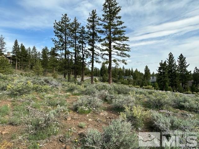 400 Mount Mahogany Ct, Reno, NV 89511 - photo 14