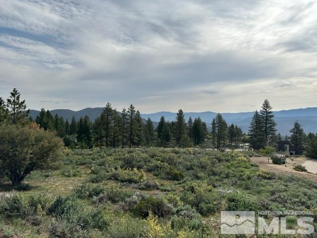 400 Mount Mahogany Ct, Reno, NV 89511 - photo 15