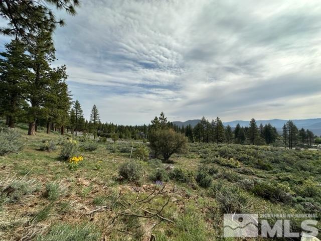 400 Mount Mahogany Ct, Reno, NV 89511 - photo 16