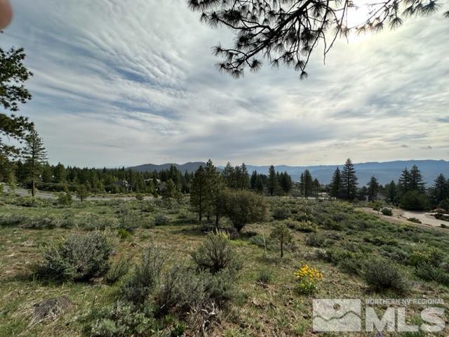 400 Mount Mahogany Ct, Reno, NV 89511 - photo 17