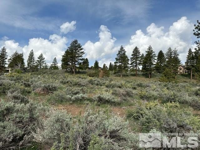 400 Mount Mahogany Ct, Reno, NV 89511 - photo 18