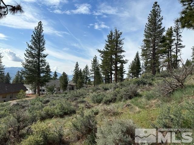 400 Mount Mahogany Ct, Reno, NV 89511 - photo 19