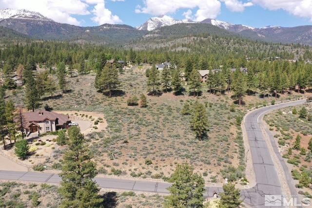 400 Mount Mahogany Ct, Reno, NV 89511 - photo 21