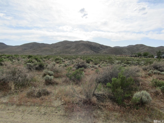 23 Shelter Hills Dr, Yerington, NV 89447 - photo 5