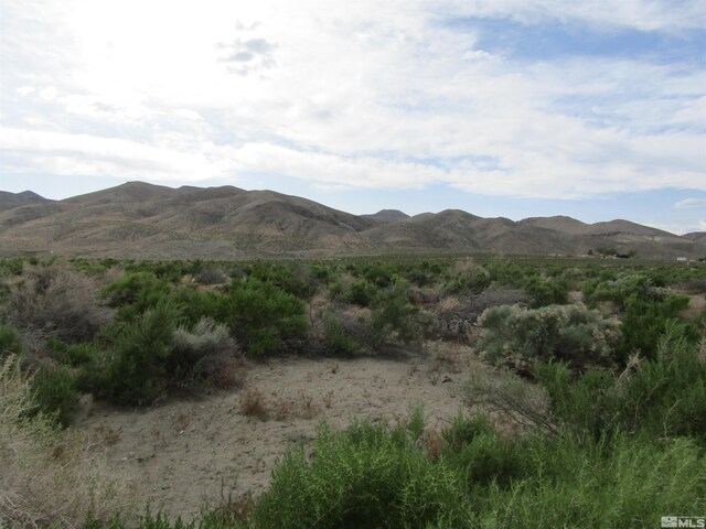 23 Shelter Hills Dr, Yerington, NV 89447 - photo 7
