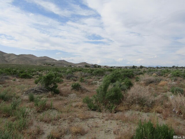 23 Shelter Hills Dr, Yerington, NV 89447 - photo 8