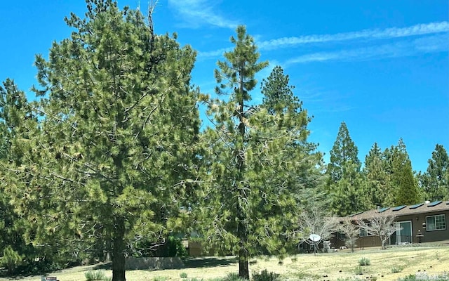 4324 Combs Canyon Rd, Carson City, NV 89703 - photo 1