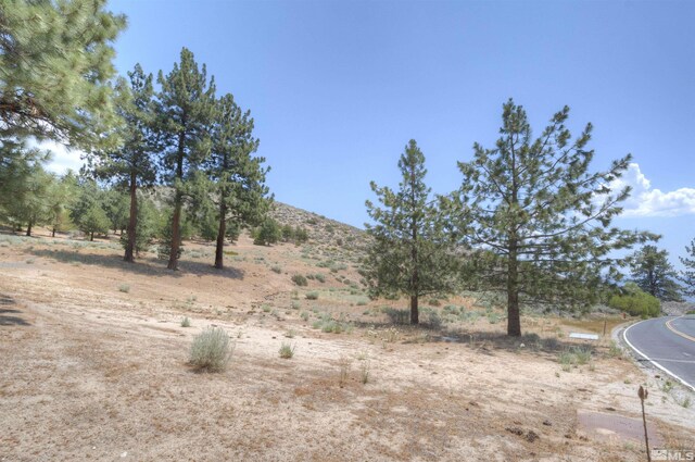4324 Combs Canyon Rd, Carson City, NV 89703 - photo 3