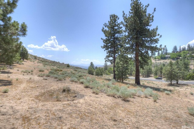 4324 Combs Canyon Rd, Carson City, NV 89703 - photo 4