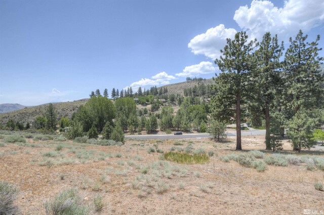 4324 Combs Canyon Rd, Carson City, NV 89703 - photo 5