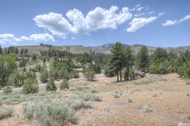 4324 Combs Canyon Rd, Carson City, NV 89703 - photo 6