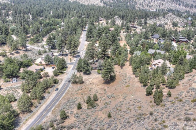 4324 Combs Canyon Rd, Carson City, NV 89703 - photo 10