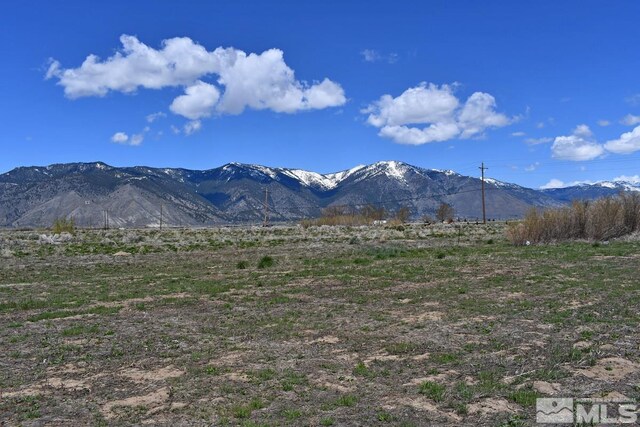 1786 Monte Vis, Minden, NV 89423 - photo 5