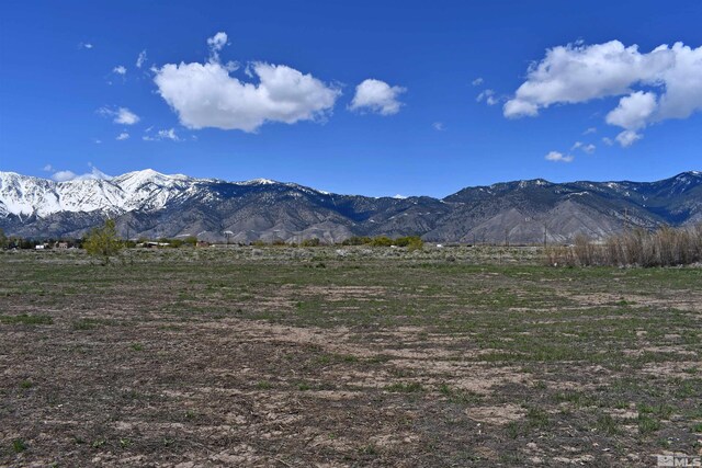 1786 Monte Vis, Minden, NV 89423 - photo 6