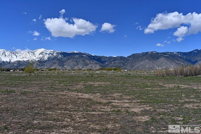 1786 Monte Vis, Minden, NV 89423 - photo 7