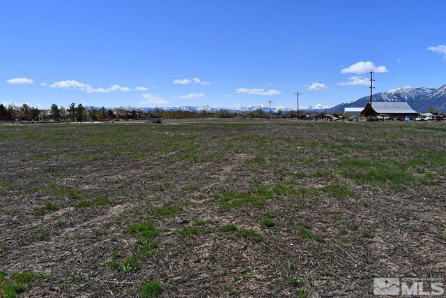 1786 Monte Vis, Minden, NV 89423 - photo 9