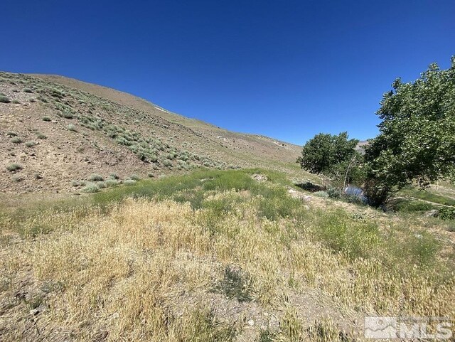 26 Valley View Dr, Wellington, NV 89444 - photo 5