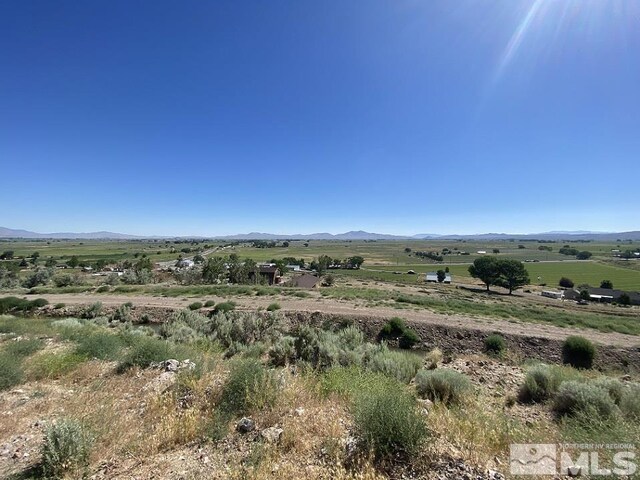26 Valley View Dr, Wellington, NV 89444 - photo 8