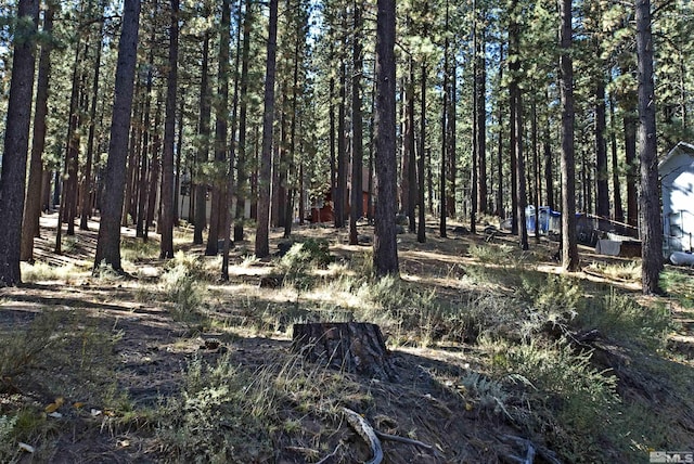 66 Pleasant Valley Rd, Markleeville, CA 96120