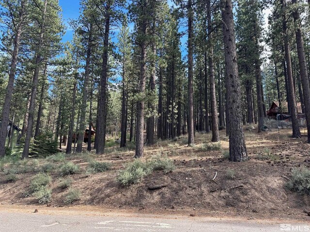 66 Pleasant Valley Rd, Markleeville, CA 96120