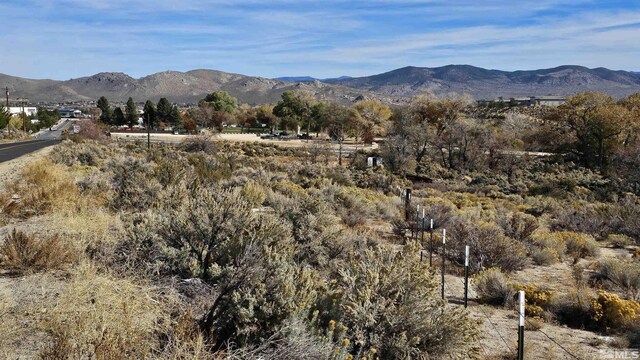991 Clear Creek Rd, Carson City, NV 89705 - photo 10
