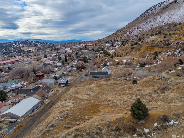 344 N Howard St, Virginia City, NV 89440 - photo 9