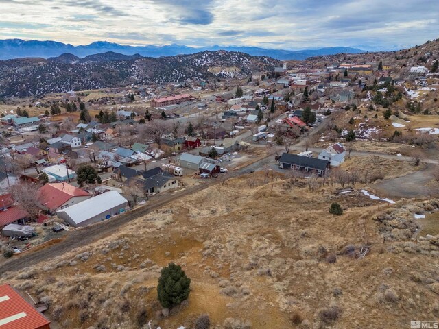 344 N Howard St, Virginia City, NV 89440 - photo 10