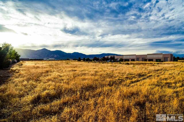 2563 Precision, Minden, NV 89423 - photo 4