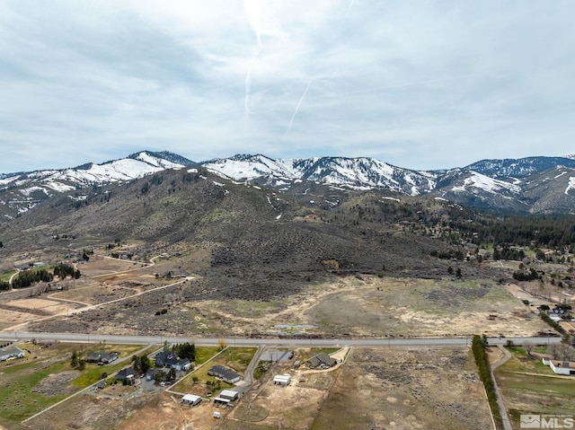 7565 US Highway 395, Washoe Valley, NV 89704 - photo 7